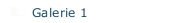 Galerie 1